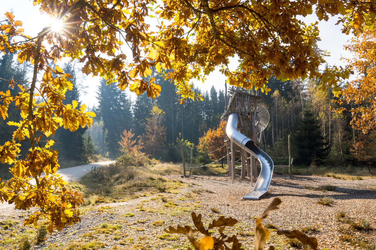  Herbstbild___Waldlehrpfad___Grossensterz___MKunz.jpg