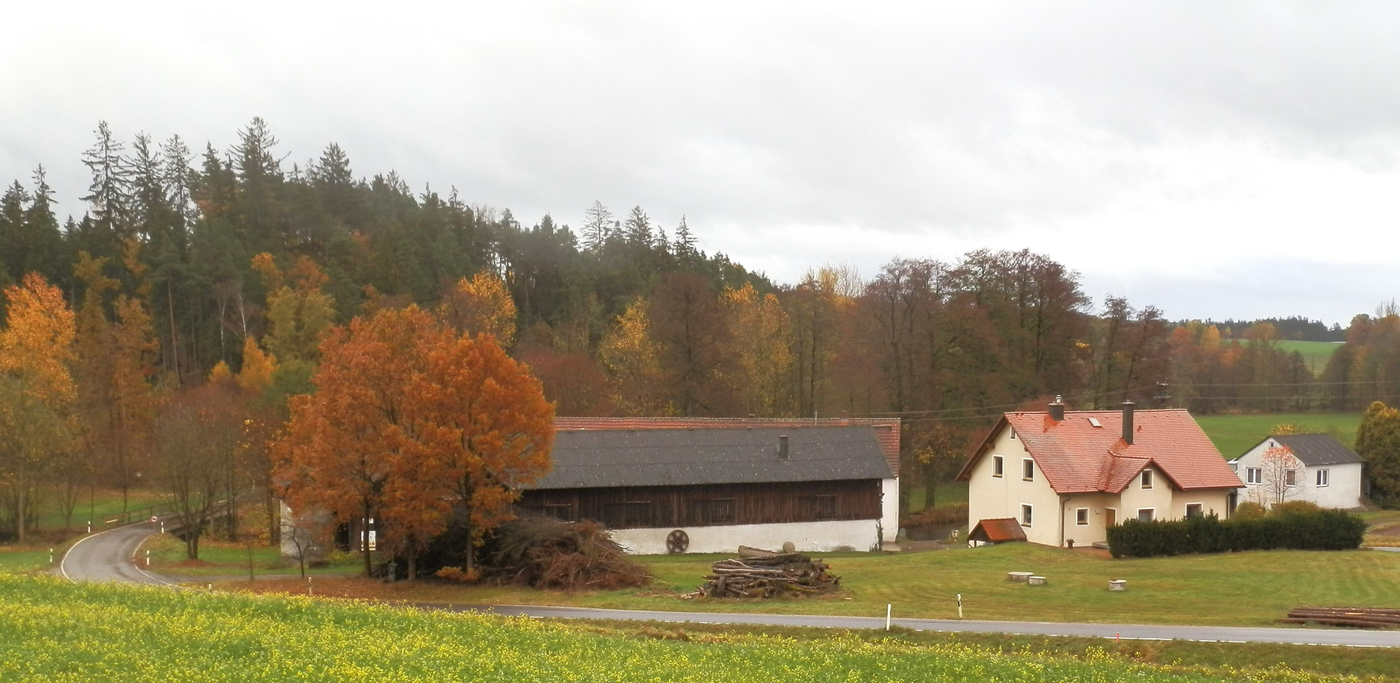 Bild der Mühle in Steinmühle