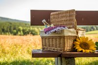 Bild: Ein vollgepackter Picknickkorb auf einer Bank neben einem Feld.